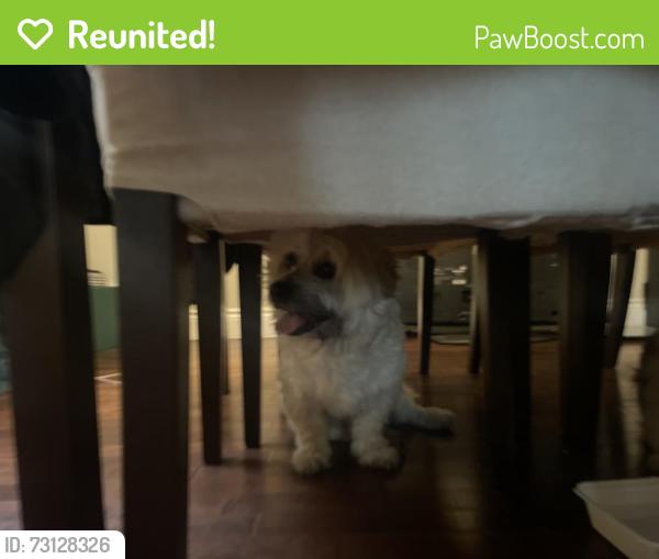 Reunited Unknown Dog last seen Fraser, Edmonton, AB T5Y 2R6