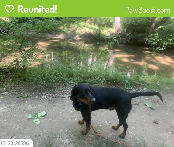 Reunited Male Dog last seen Deborah drive, Potomac, MD 20854