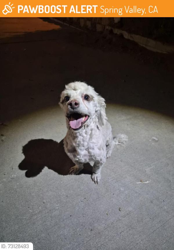 Found/Stray Male Dog last seen Jahovah Witness Church, Spring Valley, CA 91977