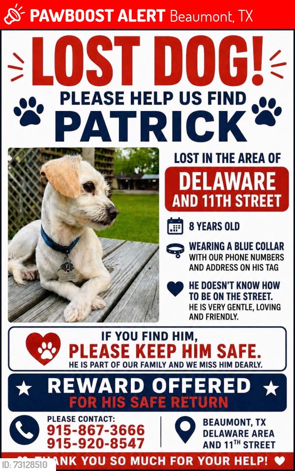 Lost Male Dog last seen Near Hwy 105, Beaumont, TX 77708, Beaumont, TX 77706