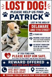 Lost Male Dog last seen Near Hwy 105, Beaumont, TX 77708, Beaumont, TX 77706