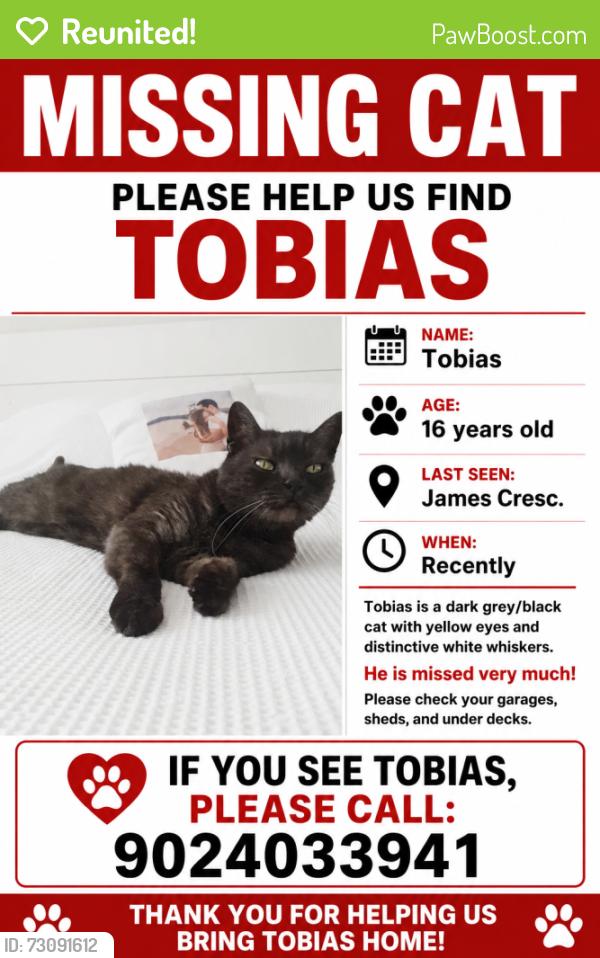 Reunited Male Cat last seen James Crescent, Jensen lake, St. Albert, AB T8N
