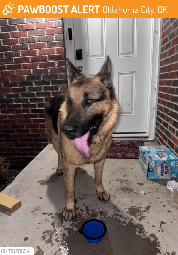 Found/Stray Male Dog last seen Nw 23rd and Portland, Oklahoma City, OK 73107
