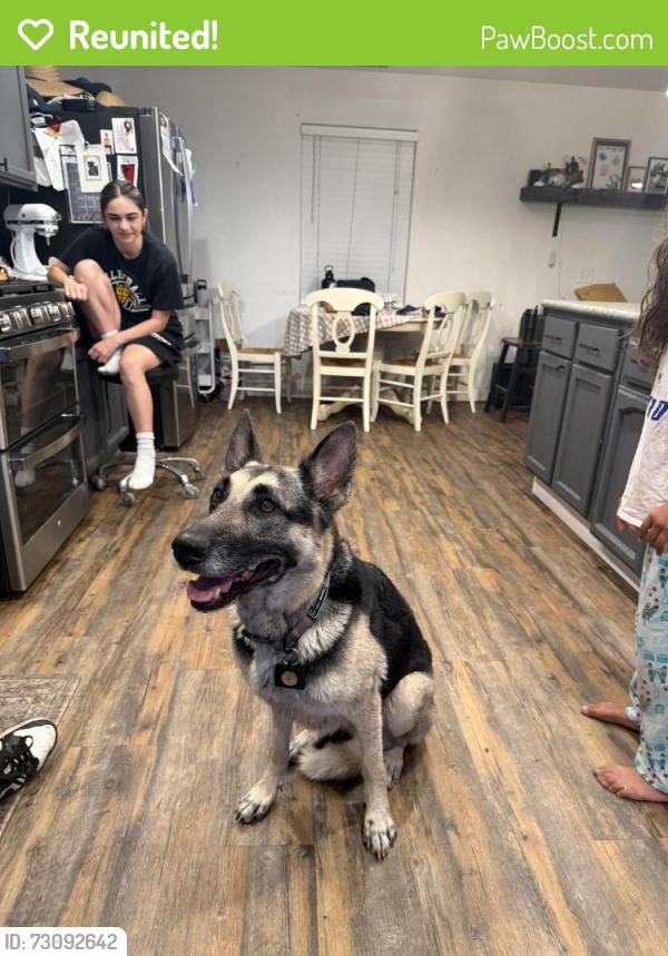 Reunited Female Dog last seen Waterloo/Hwy 99, Stockton, CA 95205