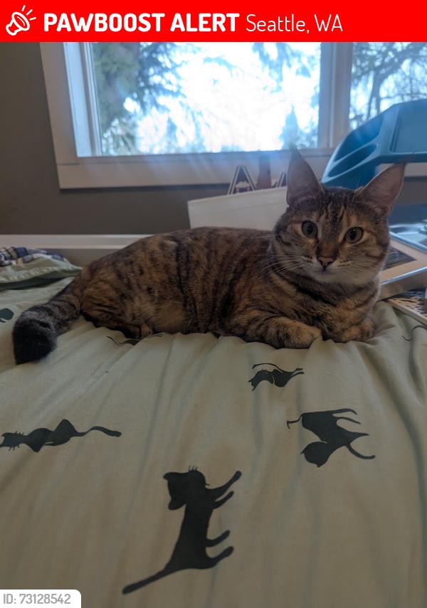 Lost Female Cat last seen SW Donovan St, Seattle, WA 98126