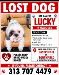 Reunited Female Dog last seen Southfield or Eastpointe mi, Eastpointe, MI 48021