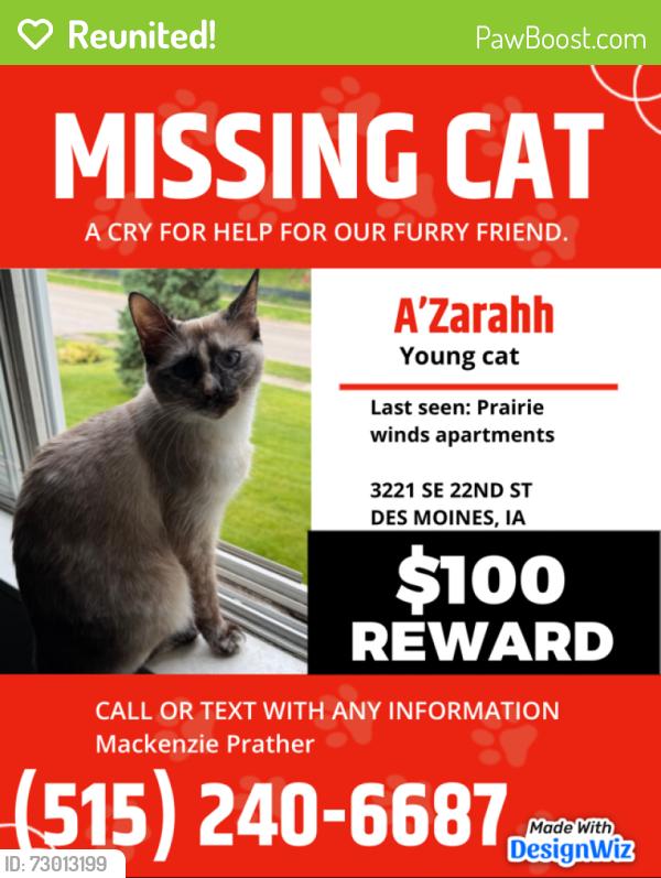 Reunited Female Cat last seen Park Ave & SE 22ND ST, Des Moines, IA 50320