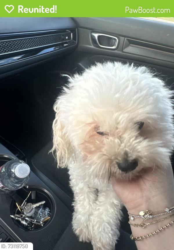 Reunited Male Dog last seen Whittier ca, Whittier, CA 90605