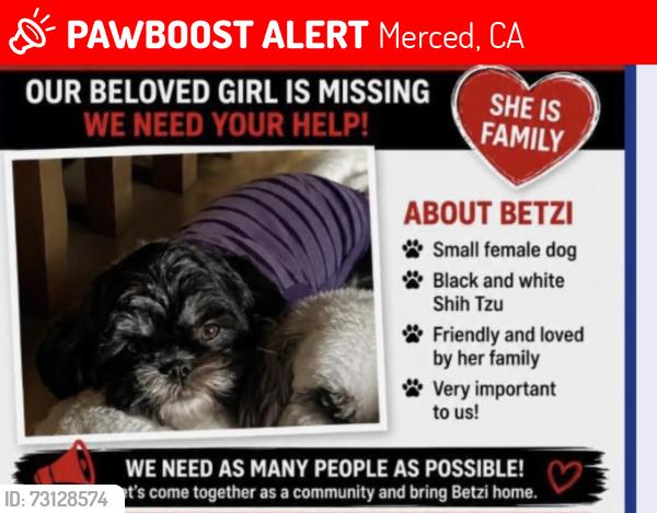 Lost Female Dog last seen Near w fifth st Merced, Merced, CA 95341