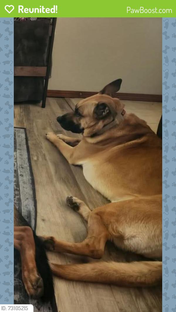 Reunited Female Dog last seen Behind Warren Theather, Moore, OK 73160