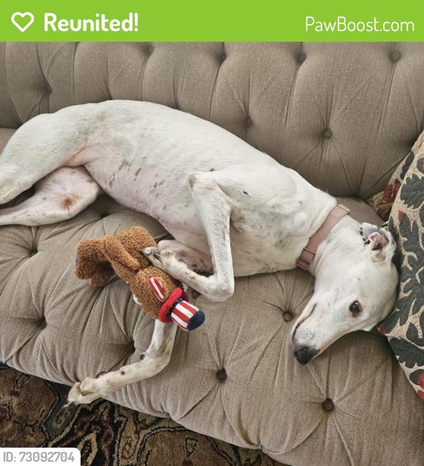 Reunited Female Dog last seen Hart park, Orange, CA 92866