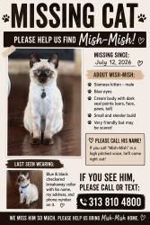 Reunited Male Cat last seen Near Mead St, Dearborn, MI 48126, USA, Dearborn, MI 48126