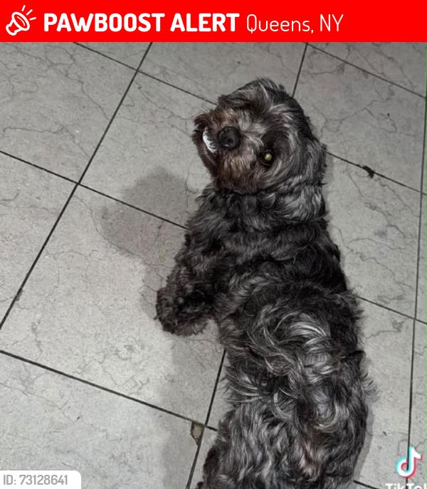 Lost Female Other last seen 106-15 corona av queens Nueva York , Queens, NY 11368