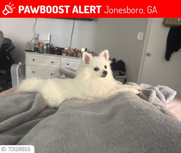 Lost Female Dog last seen Near Arrowhead blvd, Jonesboro, GA 30236