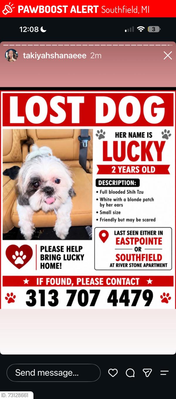 Lost Female Dog last seen Riverstone apmts, Southfield, MI 48033