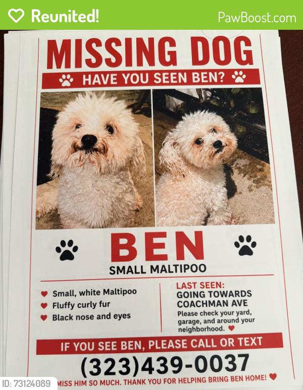 Reunited Male Dog last seen Coachman Ave, Whittier, Whittier, CA 90605