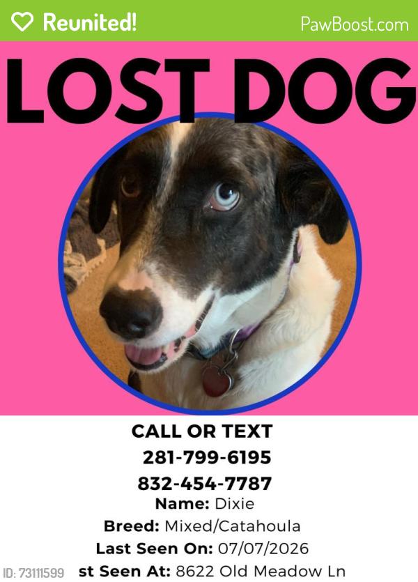 Reunited Female Dog last seen Near Old Meadow Ln, Houston, TX, 77064, Houston, TX 77064