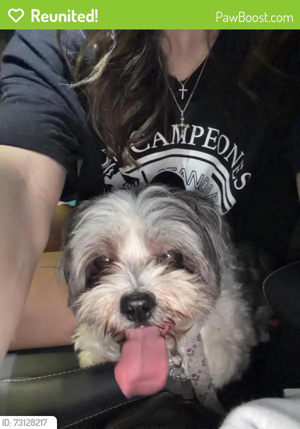Reunited Unknown Dog last seen Roundabout on Flagstaff & dodd, Lakeville, MN 55044
