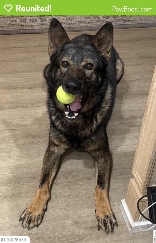 Reunited Male Dog last seen Near Bancroft and Camino Paz, Spring Valley, CA 91941