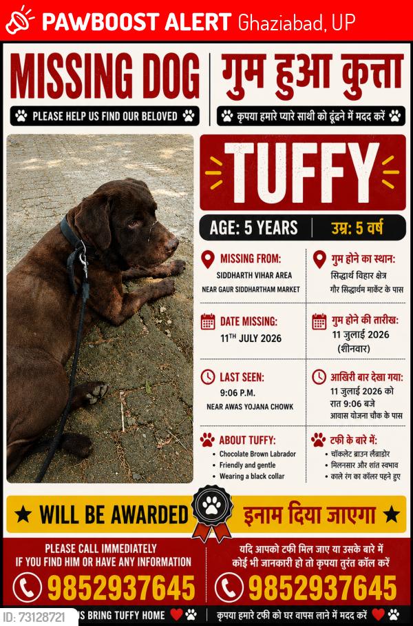 Lost Male Dog last seen Awas yojna chowk, Ghaziabad, UP 201009