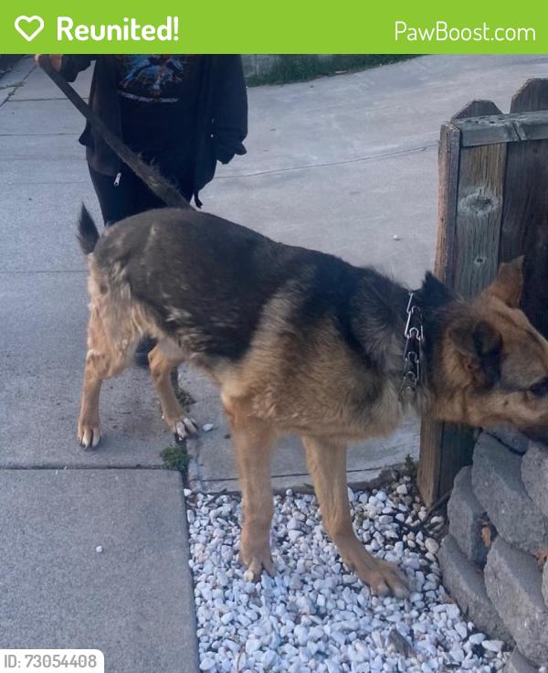Reunited Male Dog last seen Yosemite, Manteca, CA 95337