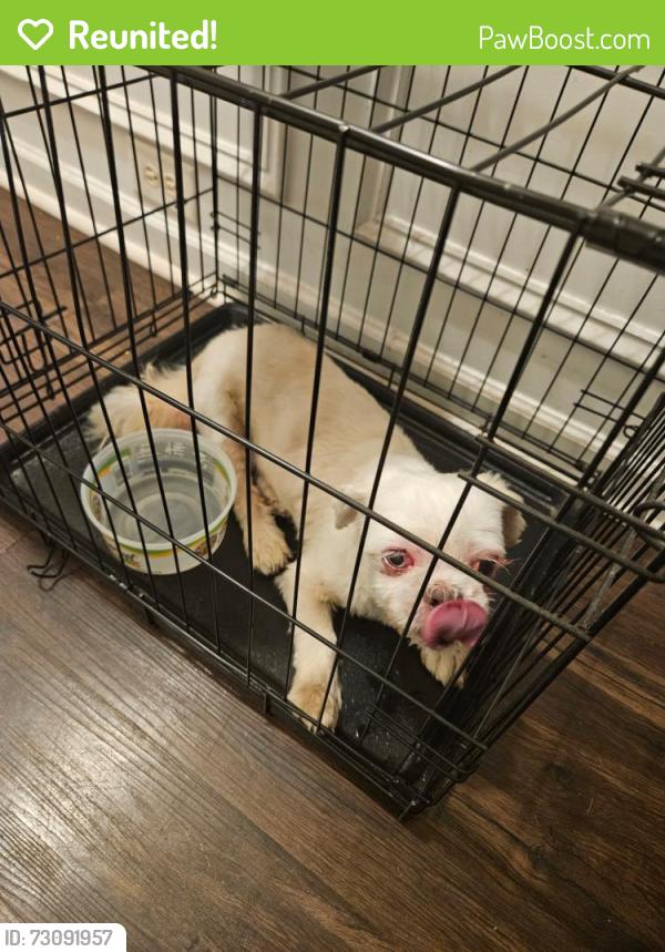Reunited Unknown Dog last seen Hillcrest Rd, Austell, GA 30168