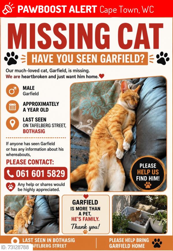 Lost Male Cat last seen Bothasig, Cape Town, WC 7441