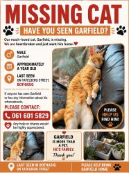 Lost Male Cat last seen Bothasig, Cape Town, WC 7441