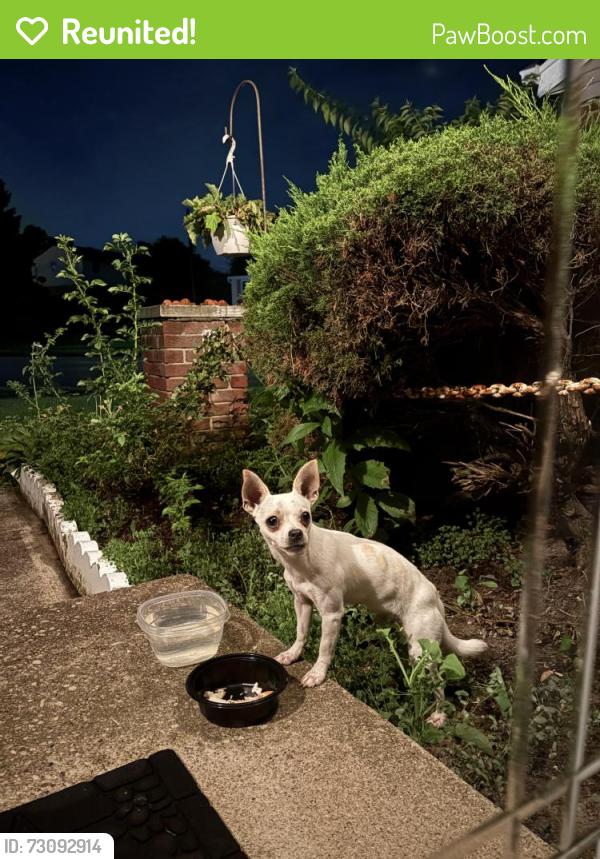 Reunited Male Dog last seen Hamlet and Hanover rd, Cincinnati, OH 45240