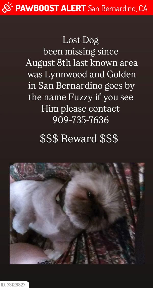 Lost Male Dog last seen Linwood & Golden, San Bernardino, CA 92404