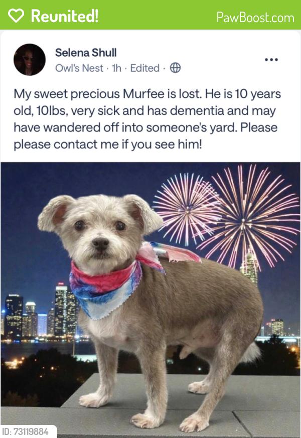Reunited Male Dog last seen Phillips Dr, Sanford, NC 27330