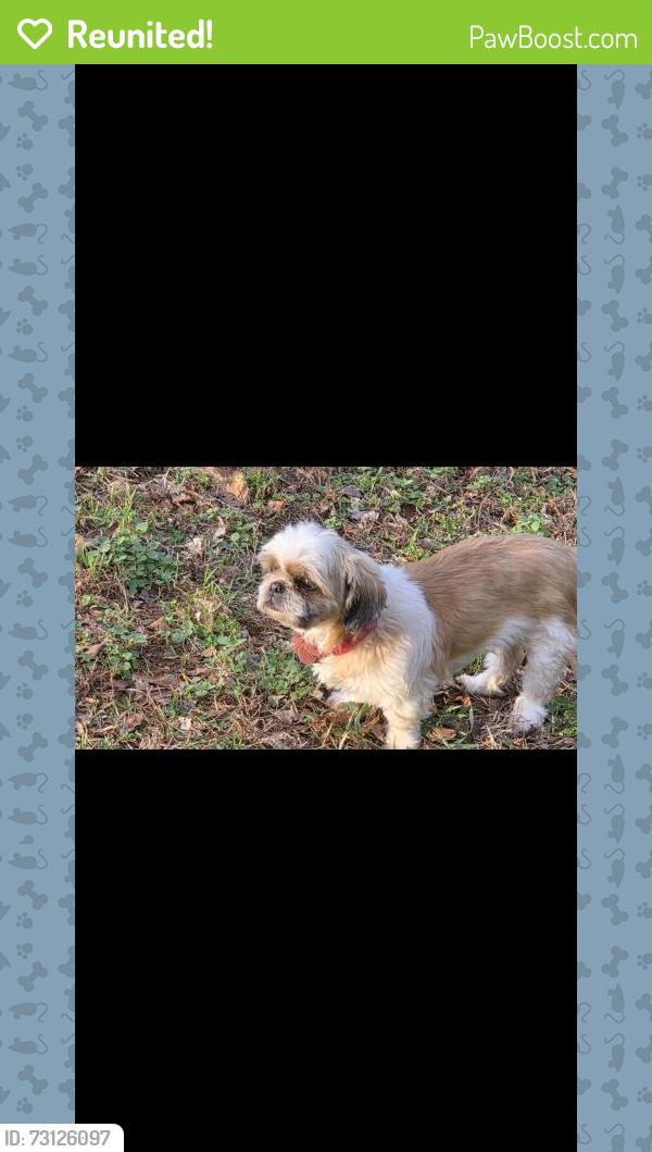 Reunited Female Dog last seen Hobson, Jasper, GA 30143