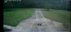 Found/Stray Unknown Dog last seen Whitehead rd, Spencer, NC 28159