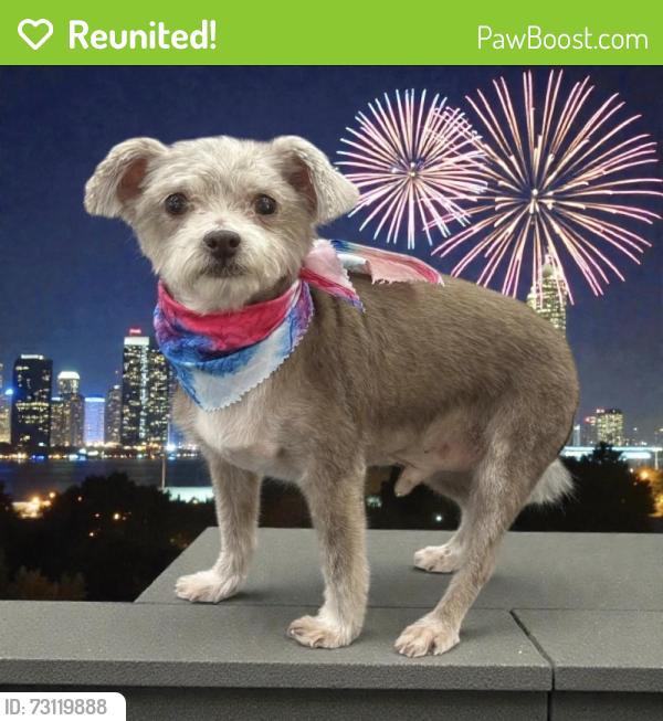 Reunited Male Dog last seen Owl's Nest, Sanford, NC 27330