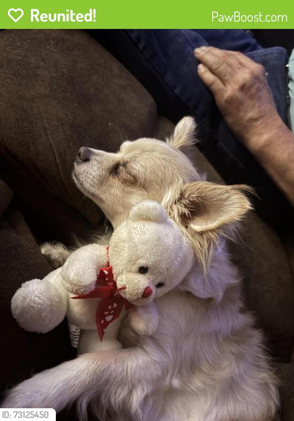 Reunited Male Dog last seen School called blue hills, Independence, MO 64056