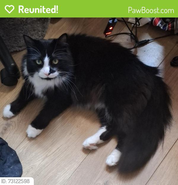 Reunited Male Cat last seen Althorp Road, NN5 5EF, West Northamptonshire, England 