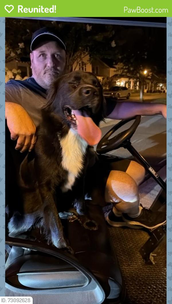 Reunited Female Dog last seen Meadowlark Road/ Heron Ridge Road, Winston-Salem, NC 27106