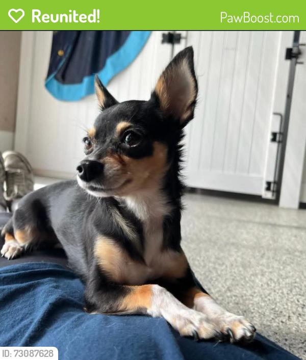 Reunited Female Dog last seen Elecon warehouse, Edmonton, AB T6E 2X4