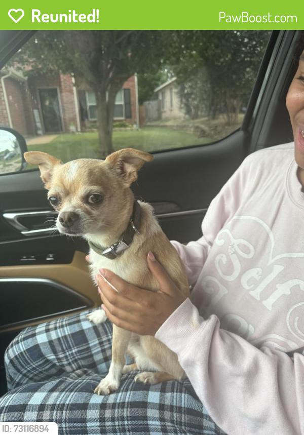 Reunited Male Dog last seen Royal Burgess, Fort Worth, TX 76135