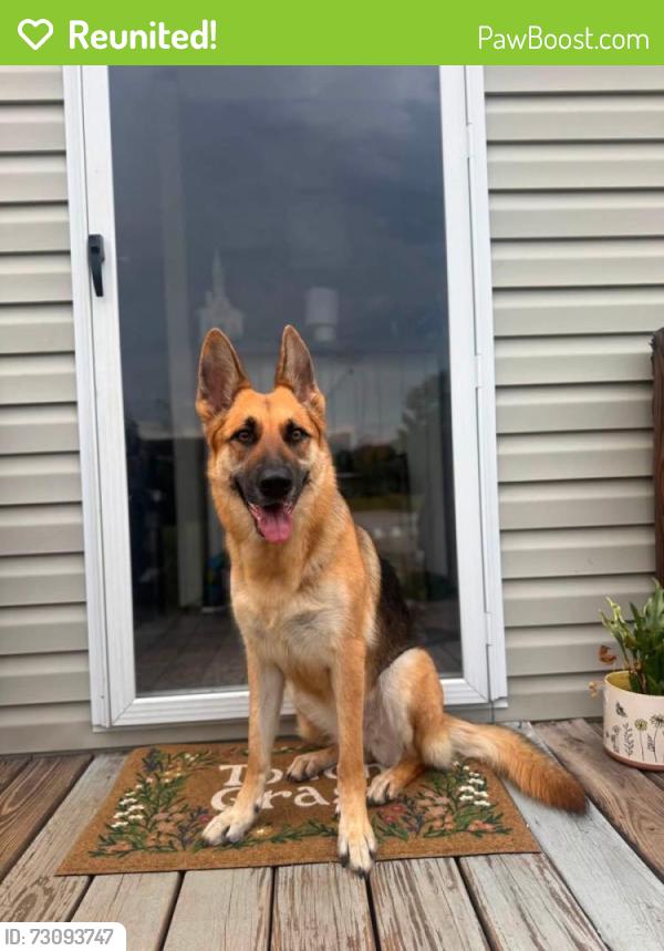 Reunited Female Dog last seen K&M Ct., Belton, SC, Anderson County, SC 29621
