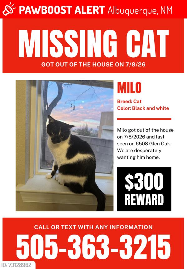 Lost Male Cat last seen Glen Oak, Albuquerque, NM 87111