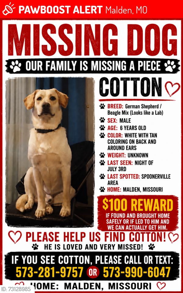 Lost Male Dog last seen Spoonerville in Malden, Mo., Malden, MO 63863