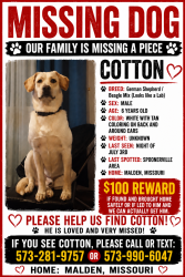Lost Male Dog last seen Spoonerville in Malden, Mo., Malden, MO 63863