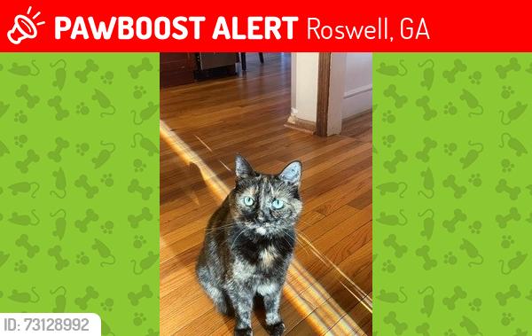 Lost Female Cat last seen Stonechat Court culdesac heading into Loch Highland, Roswell, GA 30075