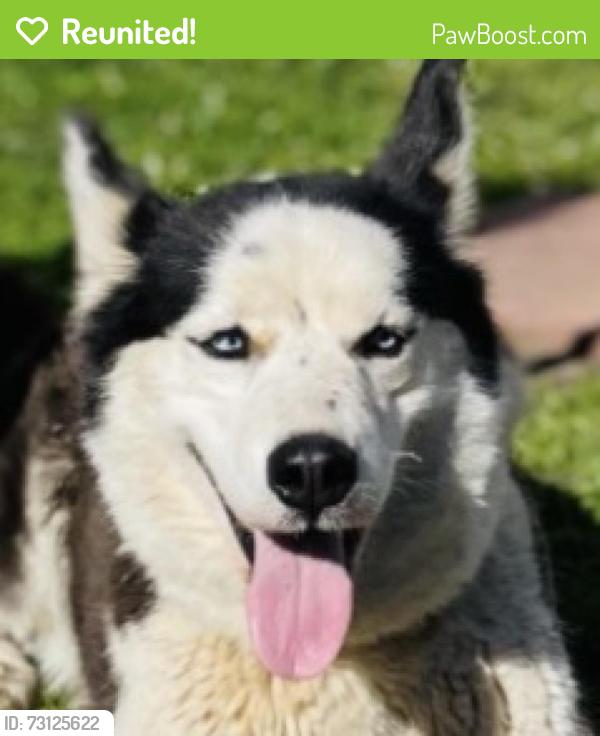 Reunited Female Dog last seen Hwy 73, Concord, NC 28025