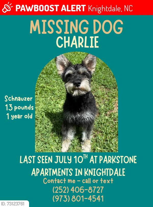 Lost Male Dog last seen Poplar crest drive, Lowes foods, Knightdale, NC 27545