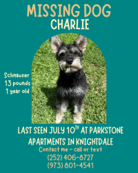 Lost Male Dog last seen Poplar crest drive, Lowes foods, Knightdale, NC 27545