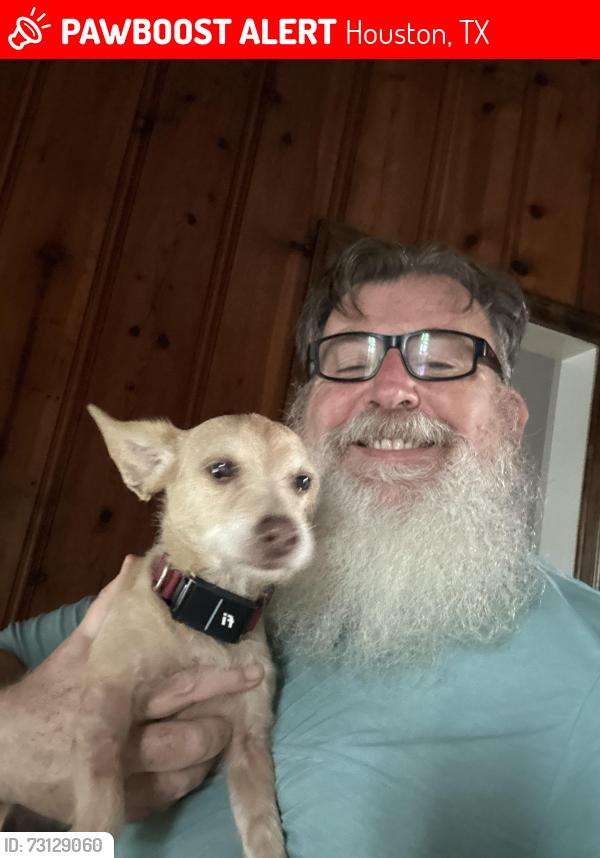 Lost Female Dog last seen Near Everett St, Houston TX 77009, Houston, TX 77009