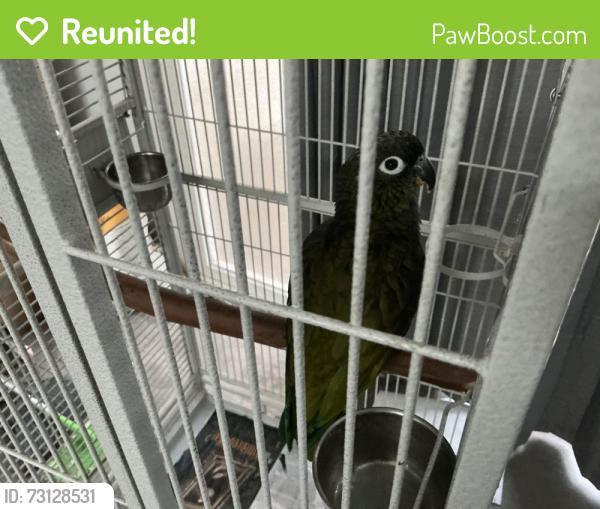 Reunited Male Bird last seen Delafield/ La Mirada, La Mirada, CA 90638