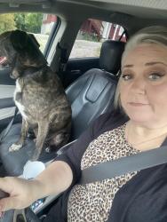 Reunited Male Dog last seen Audubon, Germantown, Brainerd, Chattanooga, TN 37411